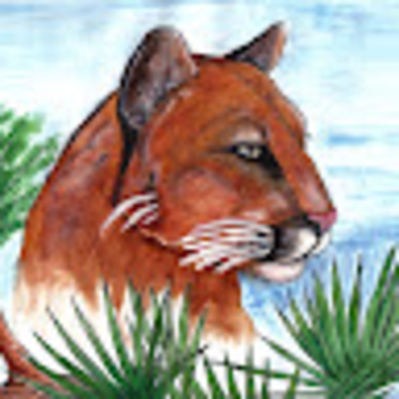 kami13cat